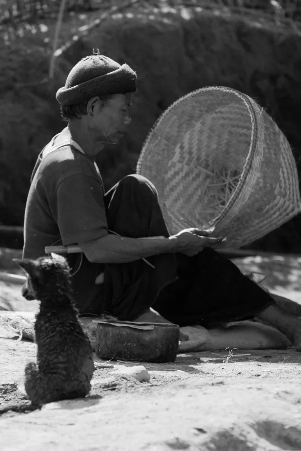 Vue 6